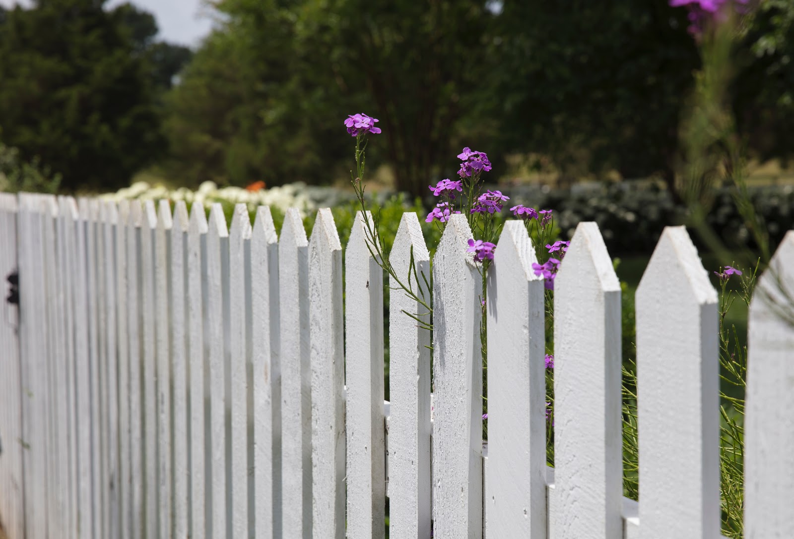 A white fence front yard house