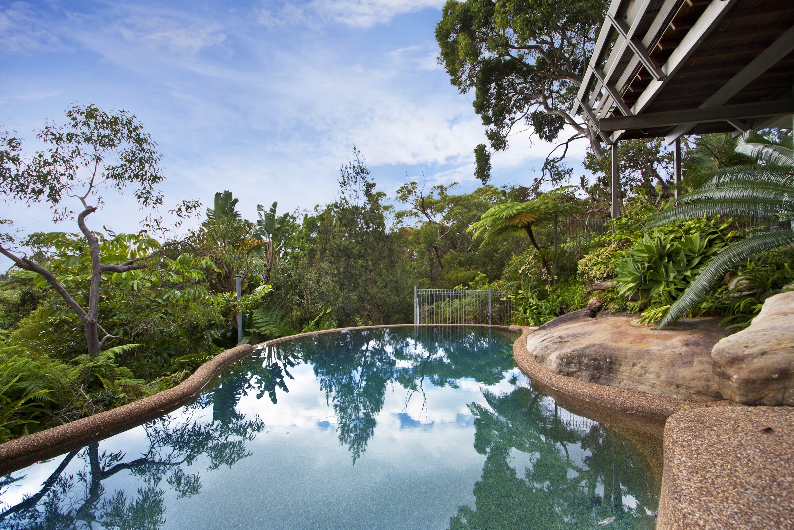 A pool at a backyard with trees and plants surrounding