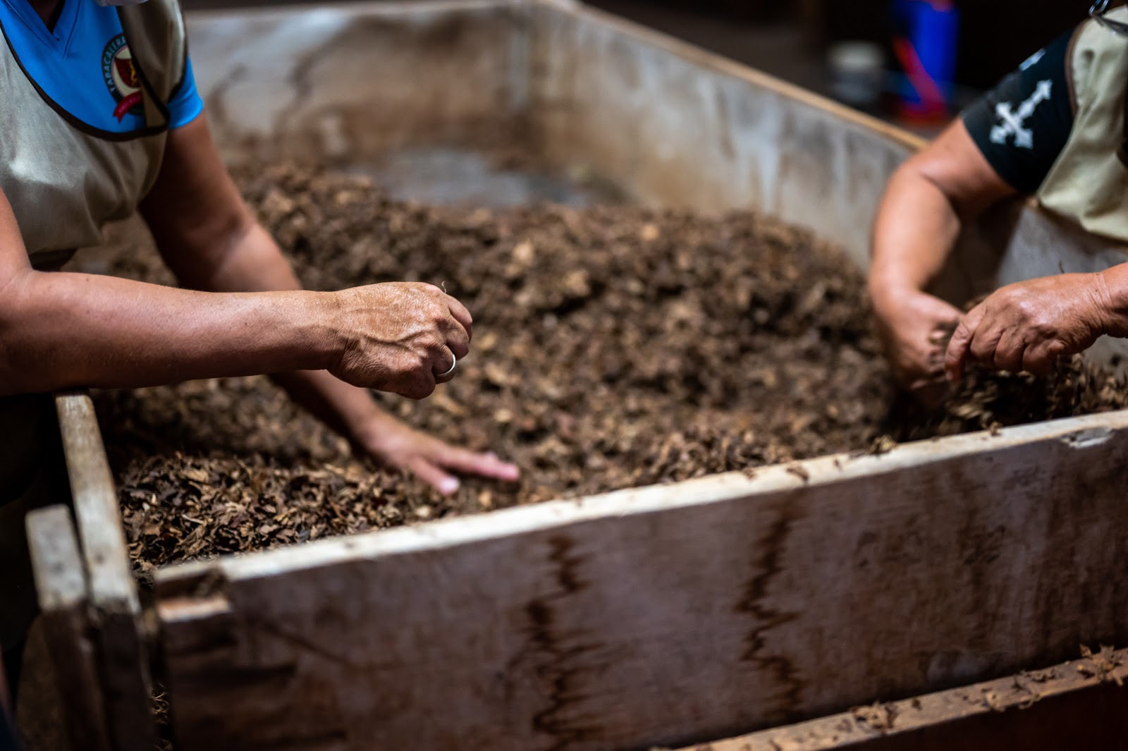 two person are touching the soil in a veggie garden