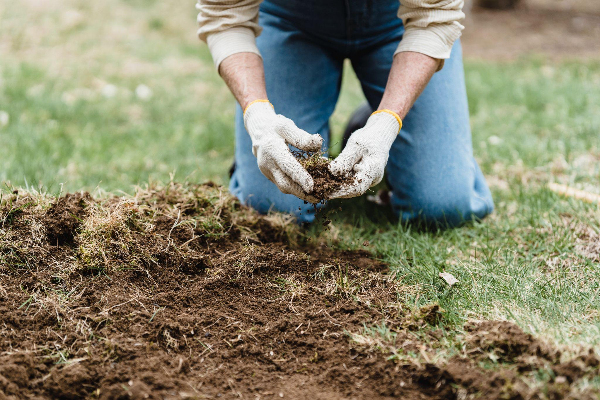 Measure and purchase turf accordingly