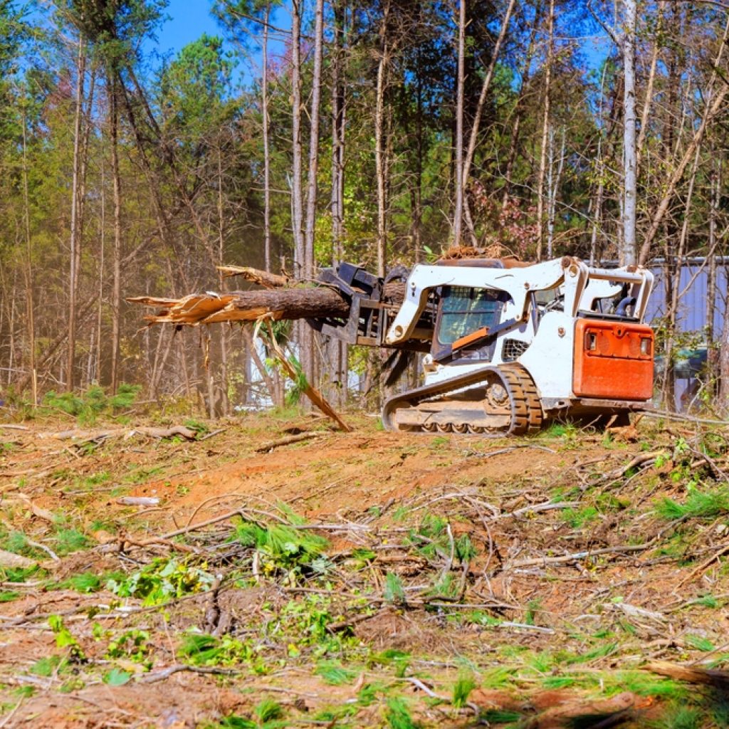 A skid-steer loader removing tree branches and debris.