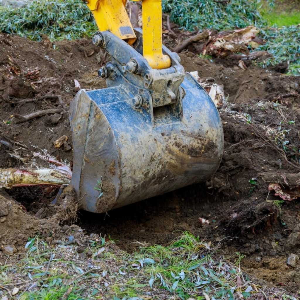An excavator bucket digging into ground breaking through tree roots showing earthmoving mistakes to avoid like not locating underground utilities. 