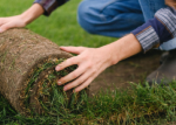 Revamp, revive, and re-turf your lawn: a step by step guide
